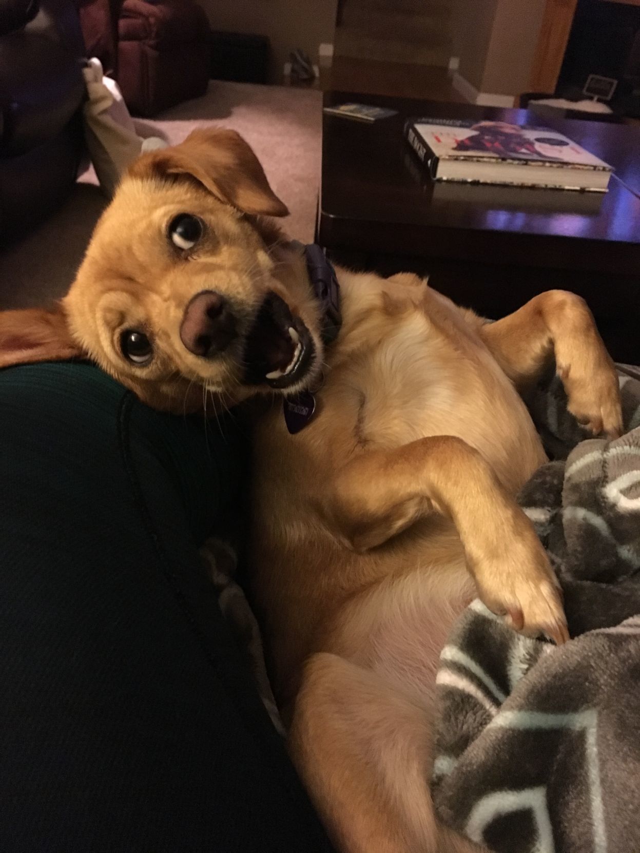 Bella